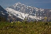 Con Cima Valmora, Cima d Leten e Corno Branchino...raggiunte 100 CIME BERGAMASCHE - FOTOGALLERY